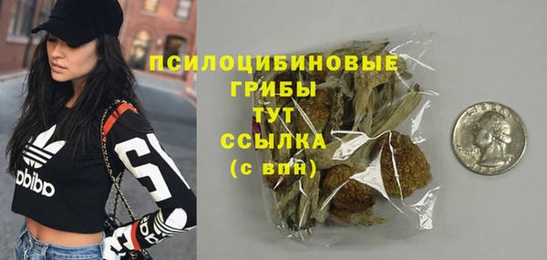 винт Лабытнанги