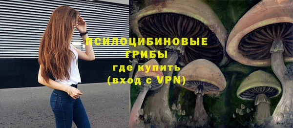альфа пвп Куйбышев