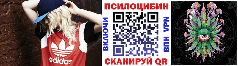 Псилоцибиновые грибы прущие грибы  закладка  даркнет Telegram  Медвежьегорск 